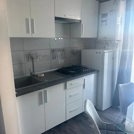 게스트하우스 Casa Iubirii